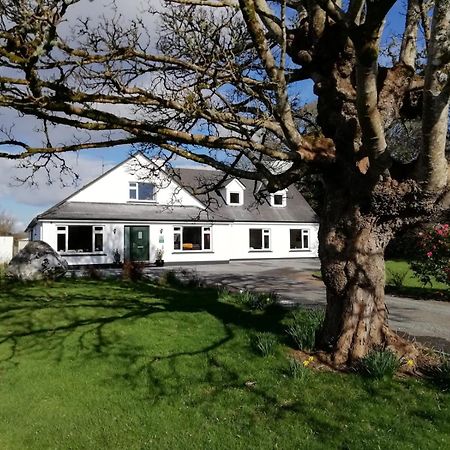 Mountain View Guesthouse Oughterard Eksteriør billede