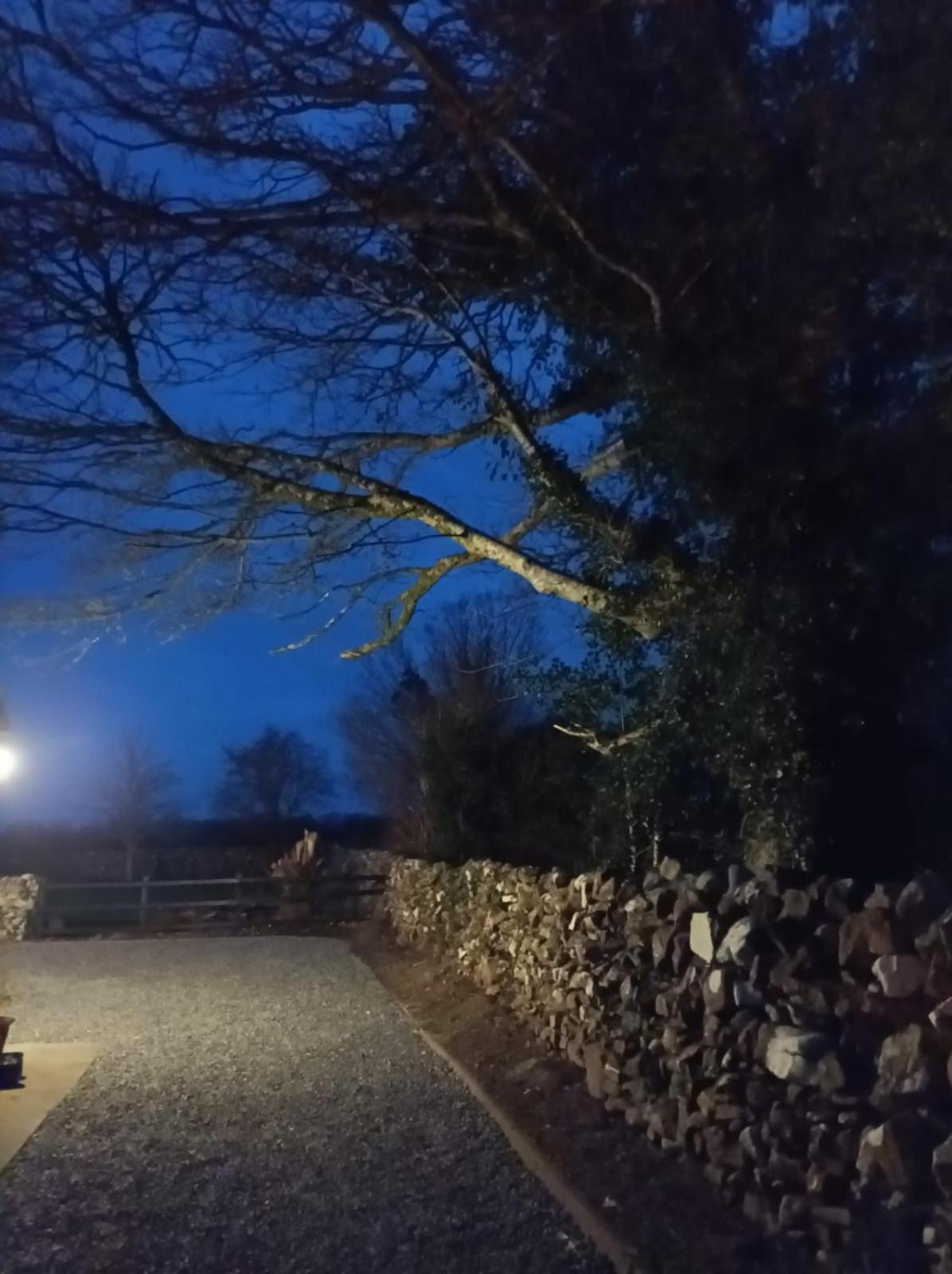 Mountain View Guesthouse Oughterard Eksteriør billede