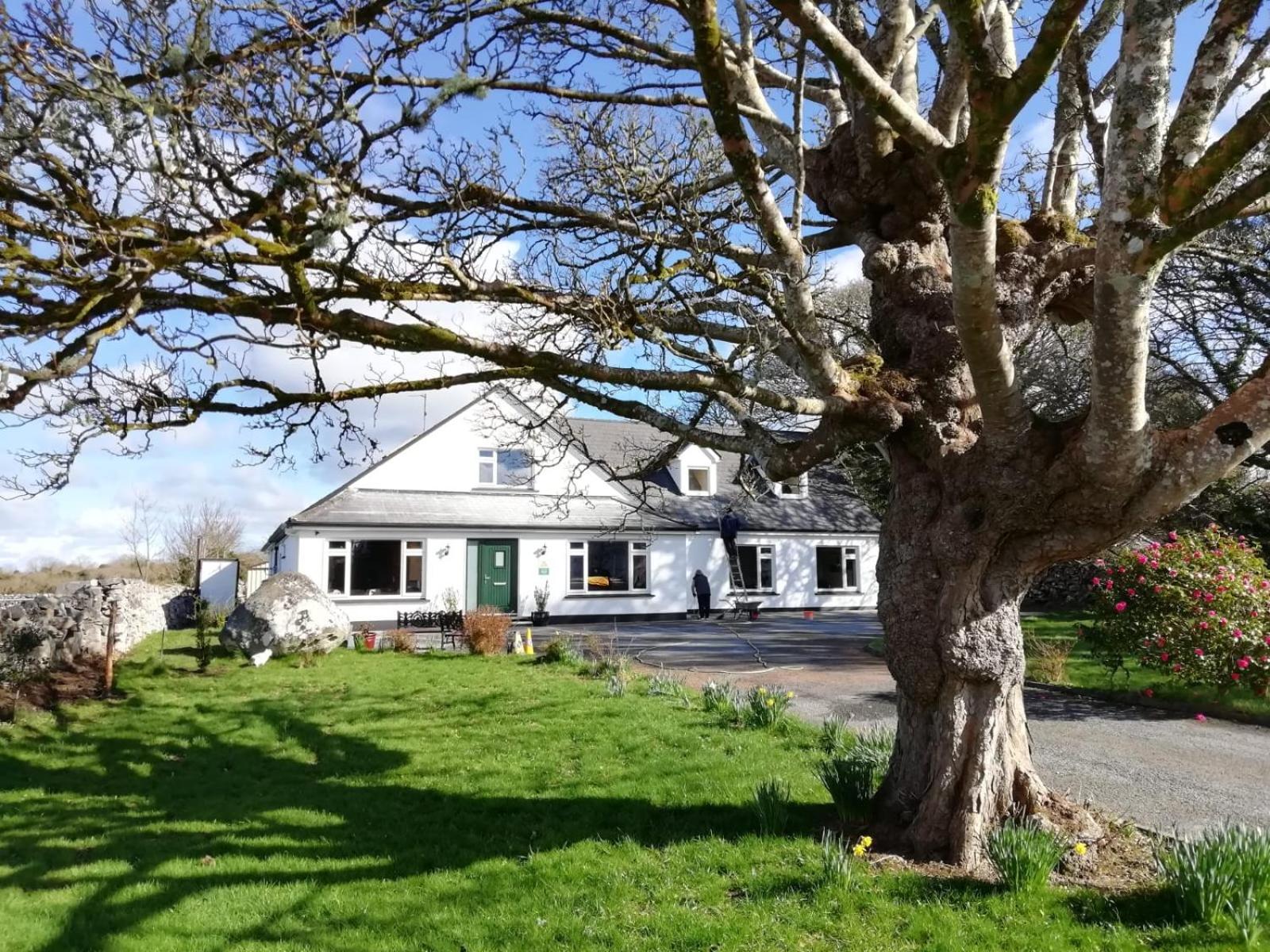 Mountain View Guesthouse Oughterard Eksteriør billede